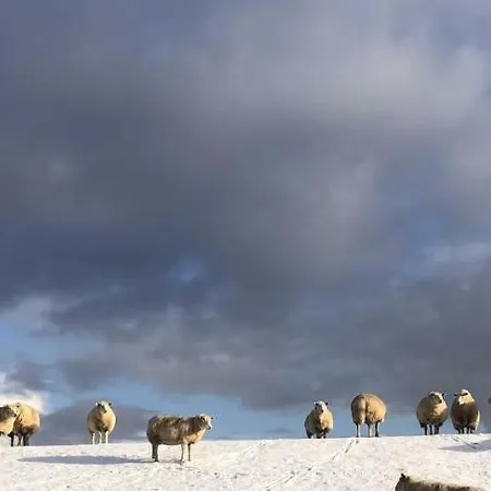 Apartment Tief 10 Neptun Mit Internet 607