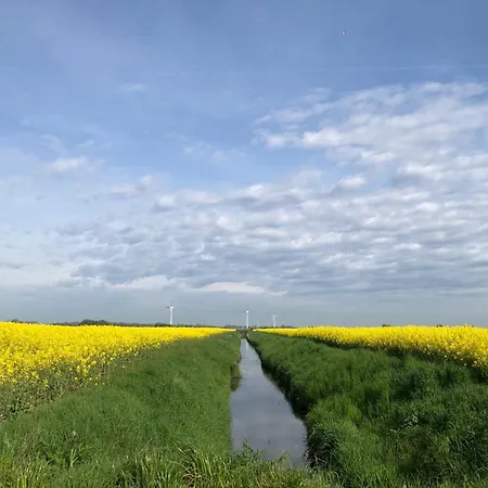 Apartment Tief 10 Neptun Mit Internet 607 Schillig