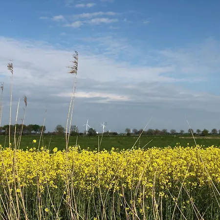 Tief 10 Neptun Mit Internet 607