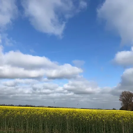 Apartment Tief 10 Neptun Mit Internet 607