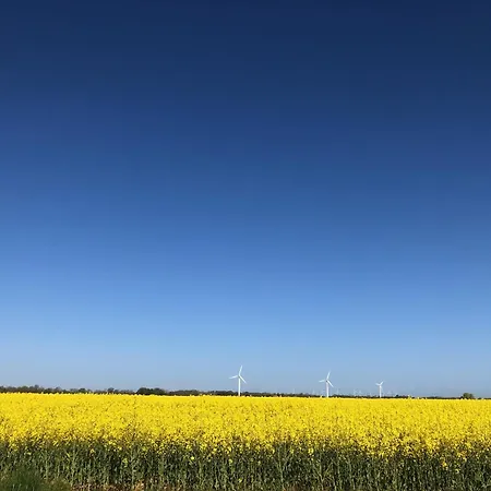 Tief 10 Neptun Mit Internet 607 Apartment Schillig