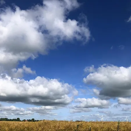 Apartment Tief 10 Neptun Mit Internet 607 Schillig