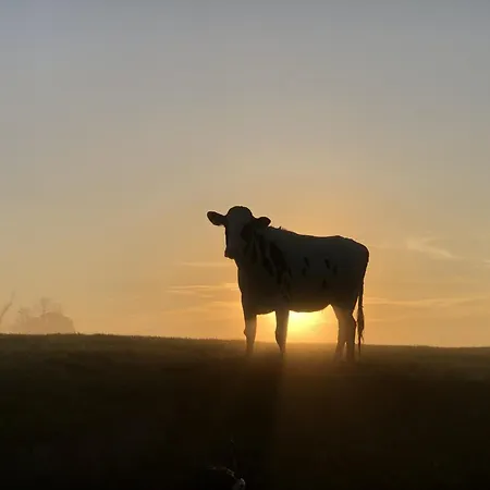 Tief 10 Neptun Mit Internet 607 *