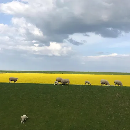 Tief 10 Neptun Mit Internet 607