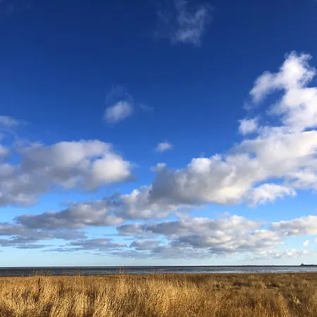 Apartment Tief 10 Neptun Mit Internet 607