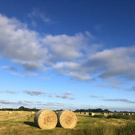 Tief 10 Neptun Mit Internet 607 Apartment *