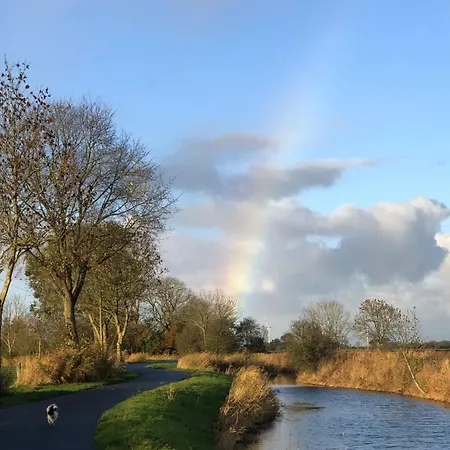 Apartment Tief 10 Neptun Mit Internet 607 Schillig