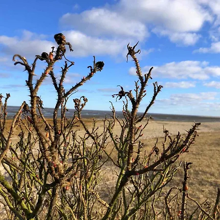 Tief 10 Neptun Mit Internet 607 Schillig