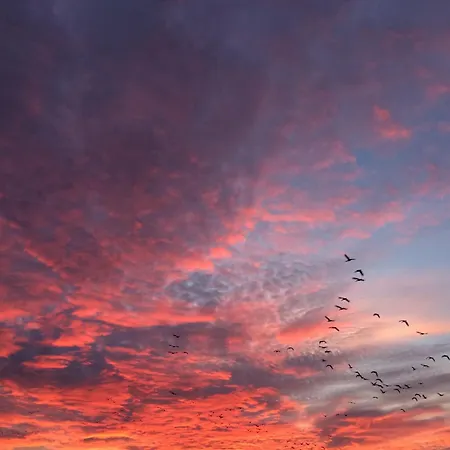 Tief 10 Neptun Mit Internet 607 *